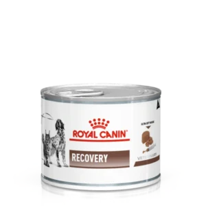 Royal Canin Recovery