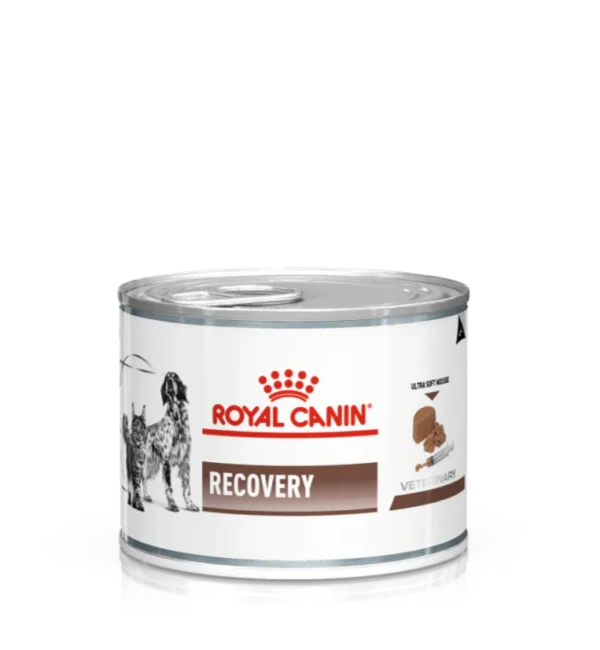Royal Canin Recovery